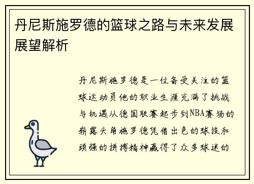 丹尼斯施罗德的篮球之路与未来发展展望解析